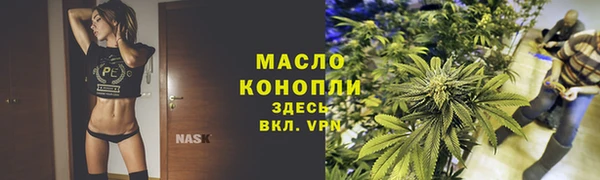 ECSTASY Бородино