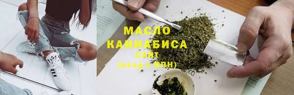 ECSTASY Бородино