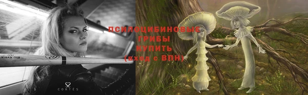 ECSTASY Бородино
