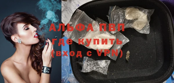 ECSTASY Бородино