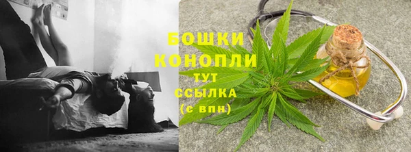 сатива Бугульма