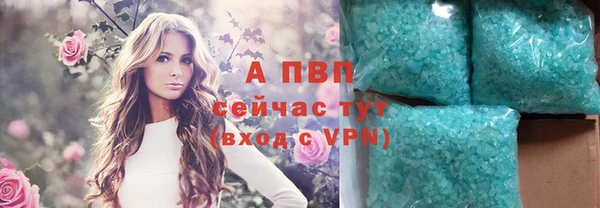 ECSTASY Бородино
