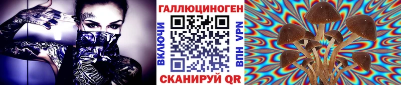 Галлюциногенные грибы ЛСД  shop телеграм  Городец  kraken ТОР 
